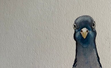 Украина теперь будет жить по зимнему времени: зачем?