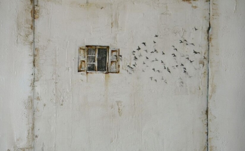 В Киеве почти исчезли все воробьи: в чем причина и какие последствия - фото