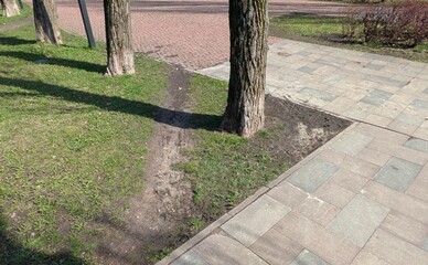 Киевзеленстрой засадил травой протоптанную от метро тропинку