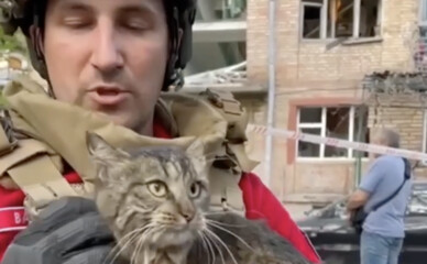 Четырехлапое чудо: спасатели вытащили живого кота из-под завалов разрушенного дома на Святошино