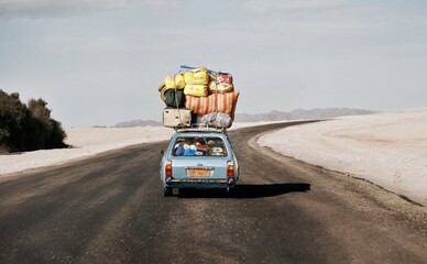 Українських водіїв переводять на біоетанольний бензин — що зміниться в роботі ваших авто