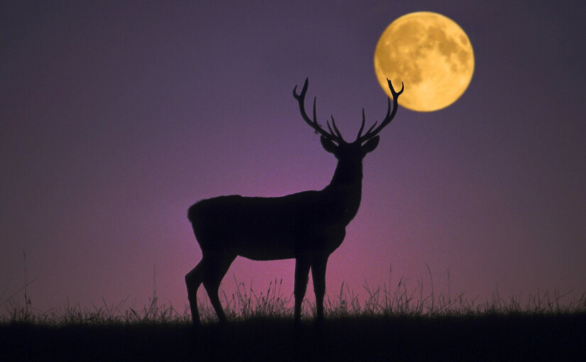 В Україні 10 липня можна буде побачити рідкісне Оленє повнолуння - фото