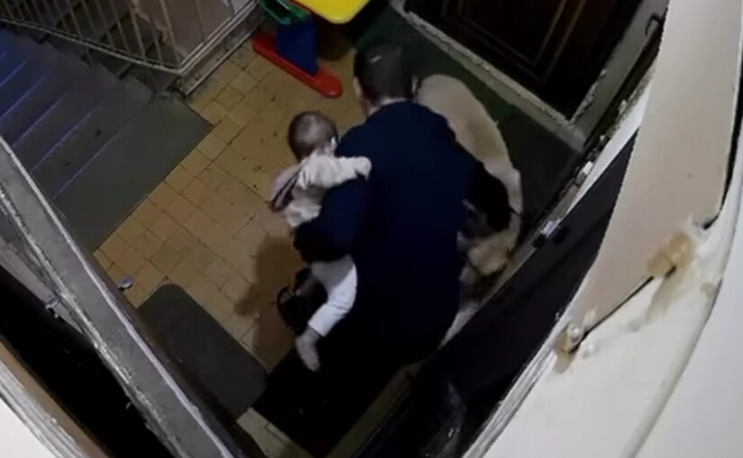 Киянин, який на очах у доньки вбив собаку, остаточно отримав 7,5 років в'язниці - фото