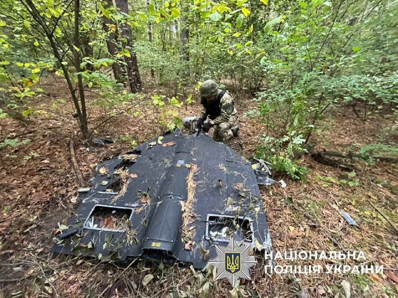 В лесополосе Дарницкого района Киева обнаружили обломки российского БпЛА с несдетонированной боевой частью - фото