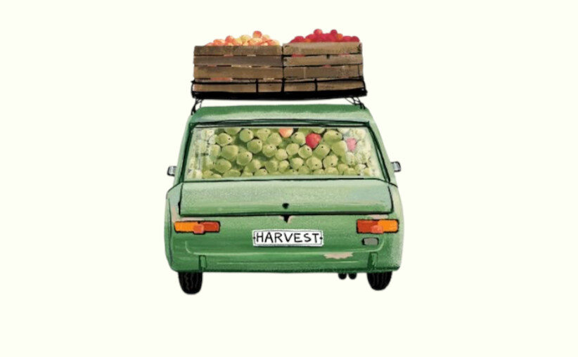 У Дії з'являться нові водійські послуги — українці зможуть зберігати номерні знаки вдома - фото