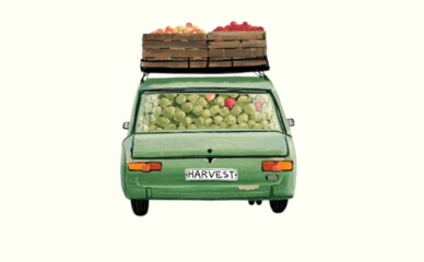 У Дії з'являться нові водійські послуги — українці зможуть зберігати номерні знаки вдома