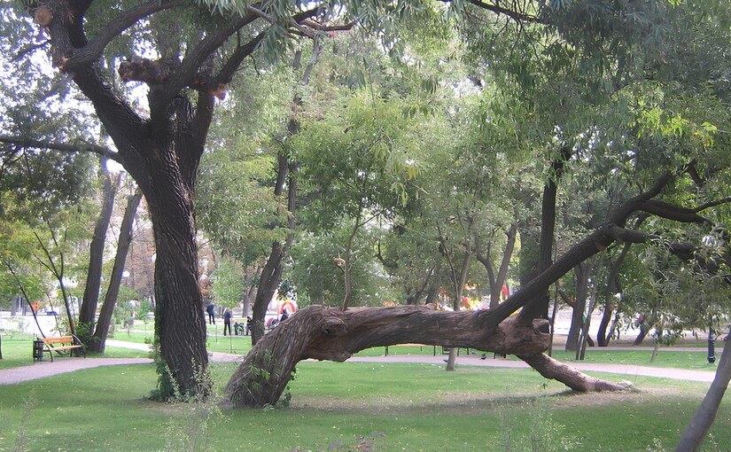 Крістерова гірка