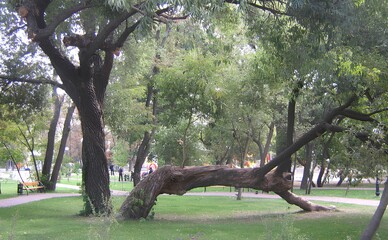 Суд зобов'язав Київраду надати 