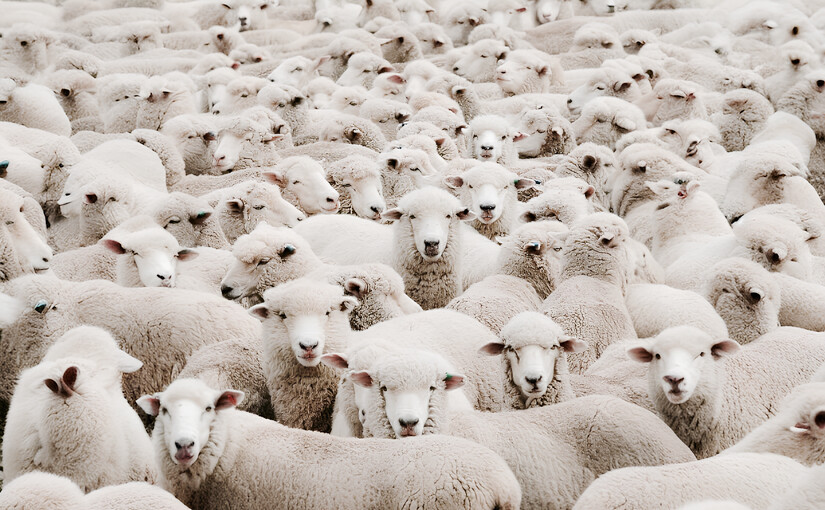 В Монобанку обіцяють iPhone, мільйон гривень та BMW