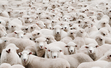 Шукаєте лимони Монобанку заради BMW? Ось список майже усіх 50 місць у застосунку