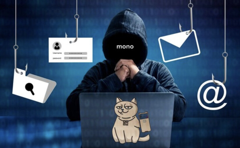 У блоггера Ксюши Манекен мошенники похитили более 6 миллионов гривен из-за monobank - фото