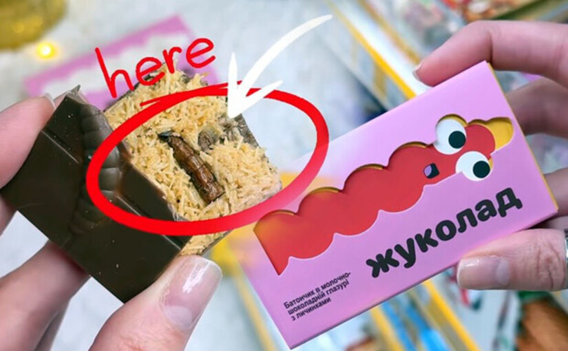 В Киеве и Львове начали продавать шоколад с личинками жуков - фото