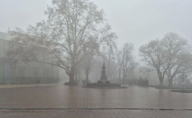 Одессу ждет оттепель с туманами и гололедицей