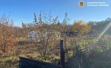 Киянка захопила ділянку в Голосіївському парку у Києві і збудувала там дачу