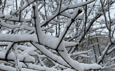 Коли у Києві нарешті потепліє після морозів до −24
