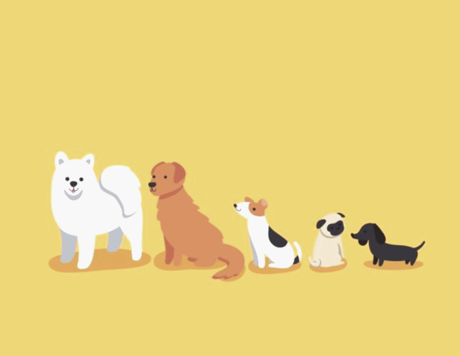 Укрпочта вводит оплату картой и онлайн-управление посылками