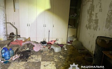 На Київщині судитимуть жінку, у якої в будинку знайшли понад 50 мертвих котів