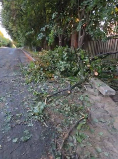 В Петропавловской Борщаговке на Киевщине вырубили деревья и уничтожили асфальт — местные протестуют