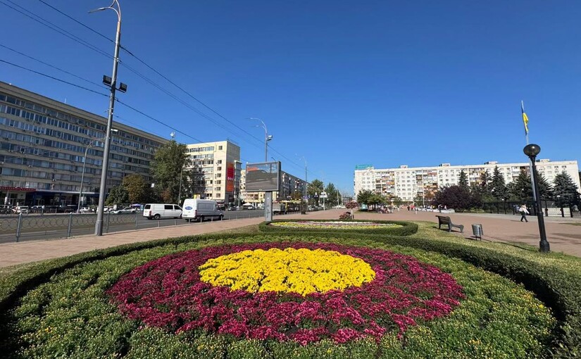 У Києві висадять понад десять тисяч кущів хризантем — перелік локацій