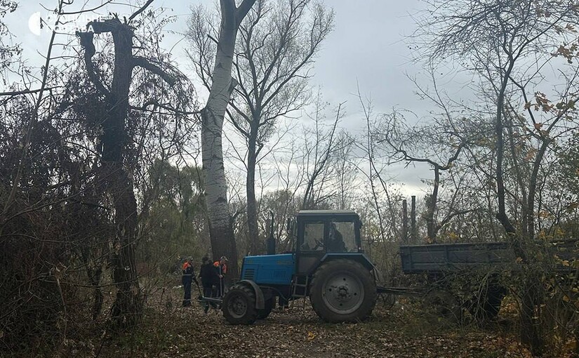 В Полтаве дрон попал в дерево возле домов, в семи дворах выбиты окна, повреждены крыши