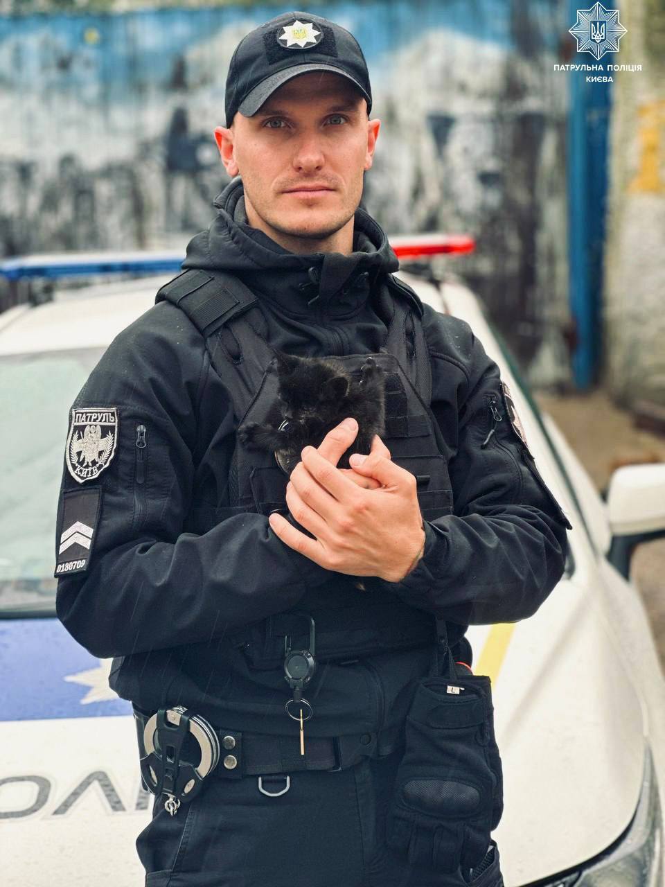 Киевские полицейские спасли маленького котенка фото 1