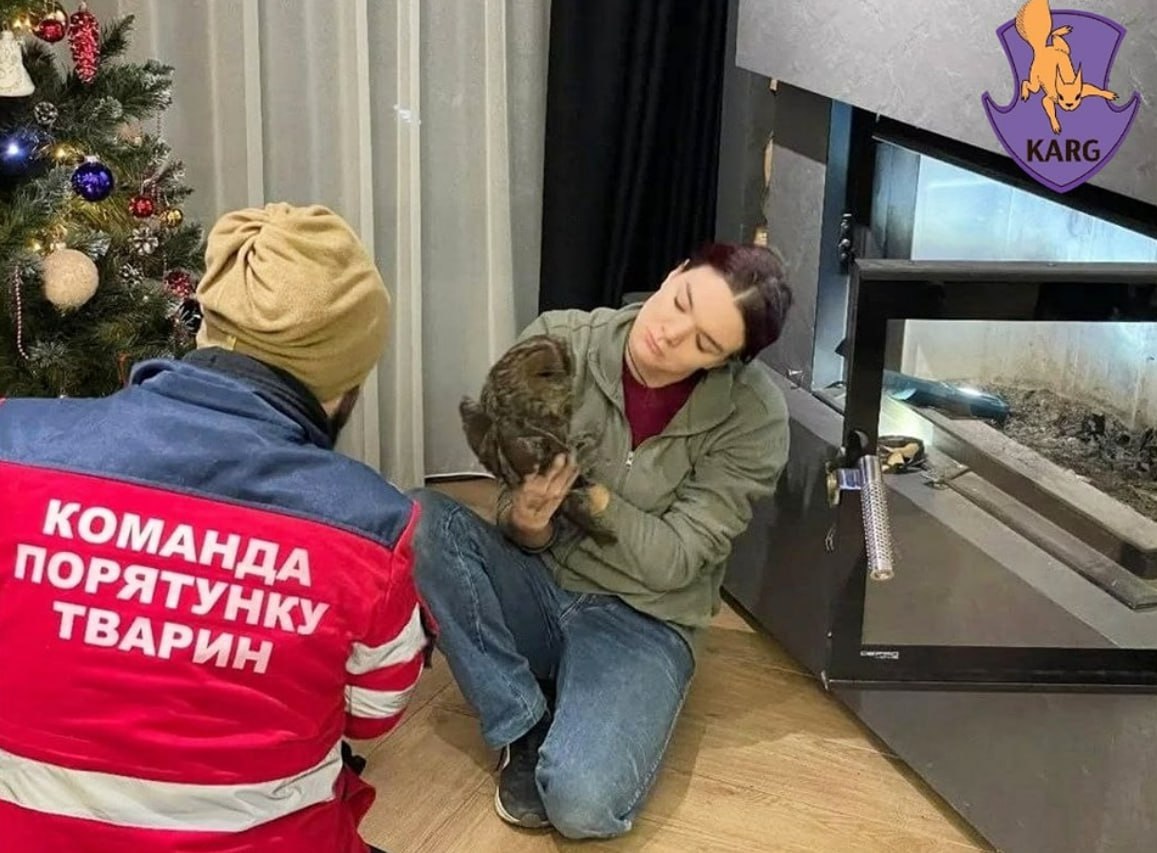Спеціалісти Команди Порятунку Тварин проводять огляд врятованої сови. Фото КАРГ