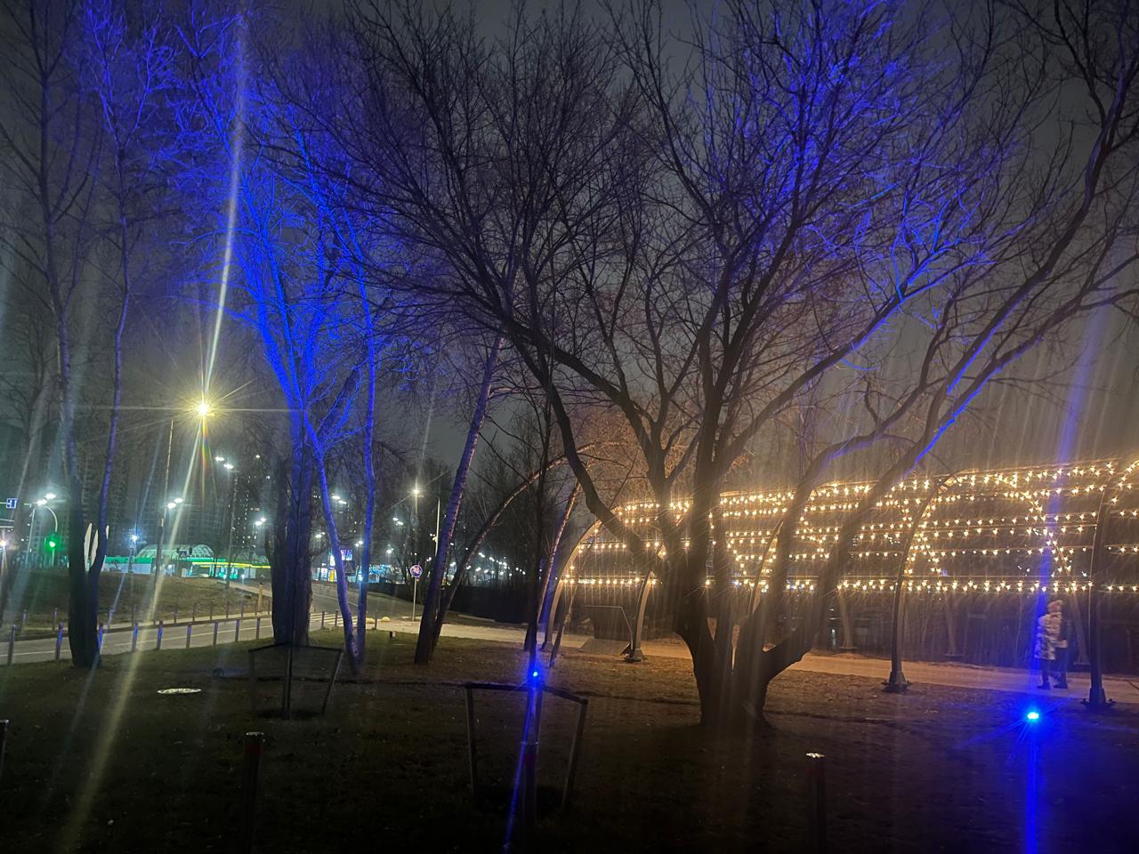 В парке "Прибрежный" на Позняках появилась праздничная иллюминация фото 2 1