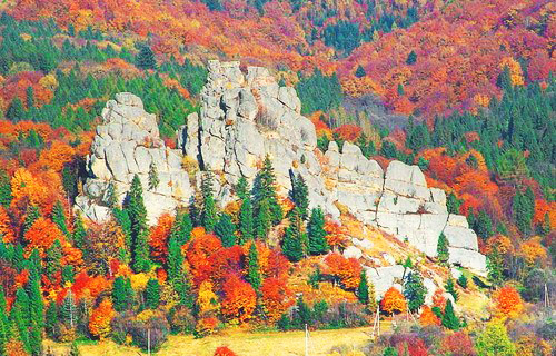 Від популярних курортів до прихованих перлин: путівник Прикарпаттям і Закарпаттям фото 6 5