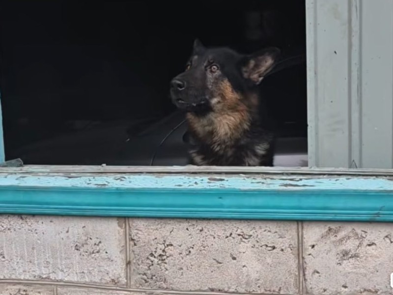 Тому треба допомога