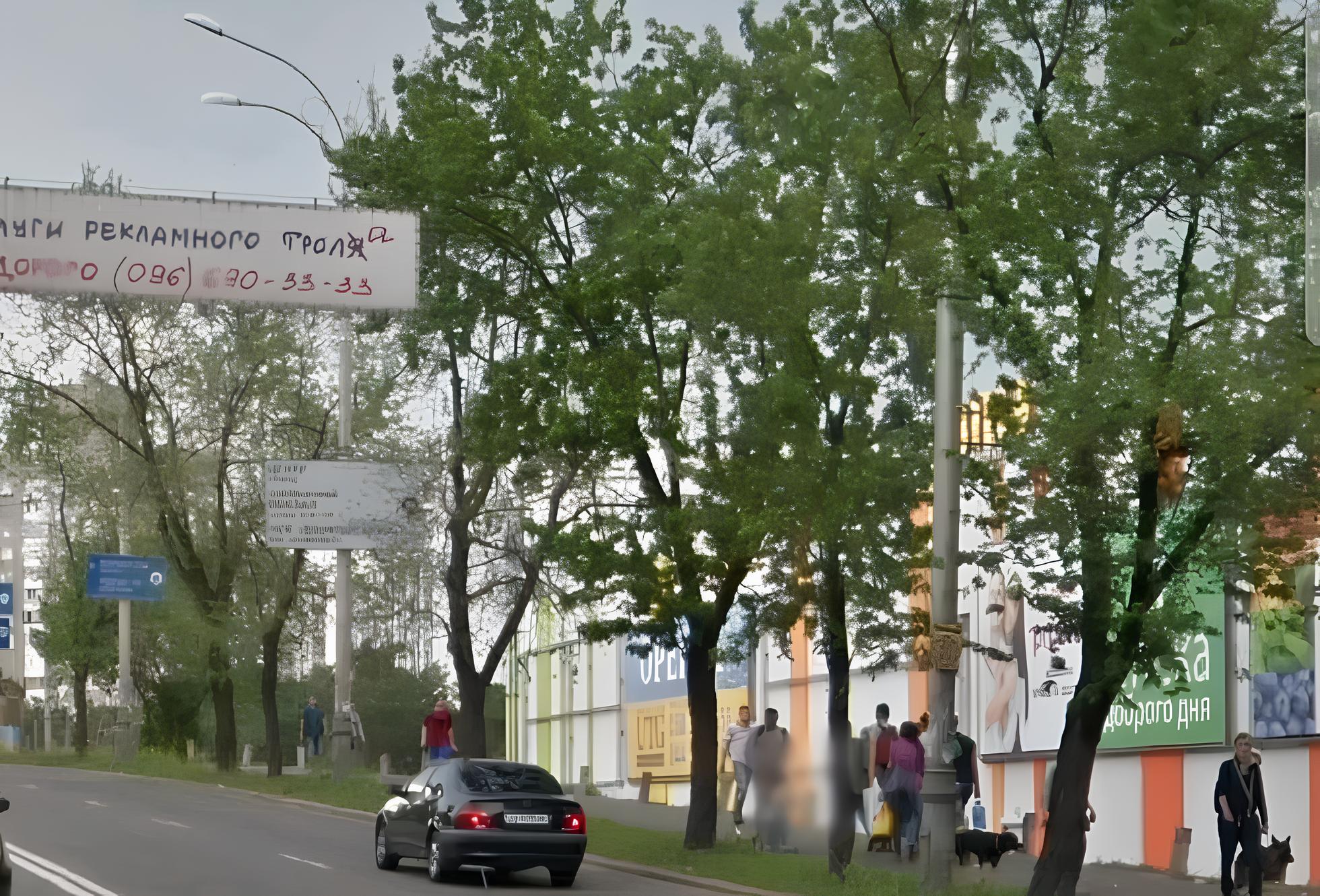 Колись на цьому місті були дерева