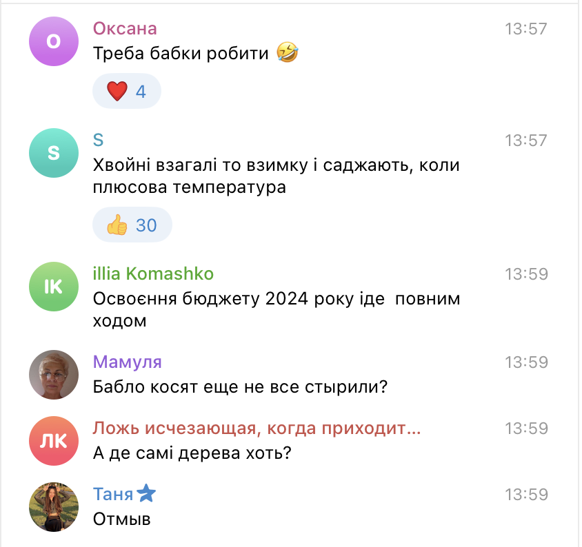 «Снова отмывают деньги!»: киевляне возмутились зимней высадкой деревьев, но эксперты говорят, что все правильно фото 1