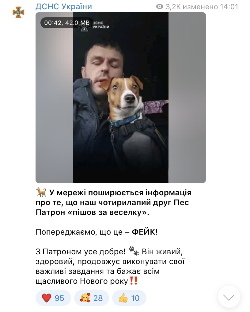 ГСЧС опровергла новость о смерти пса Патрона фото 1