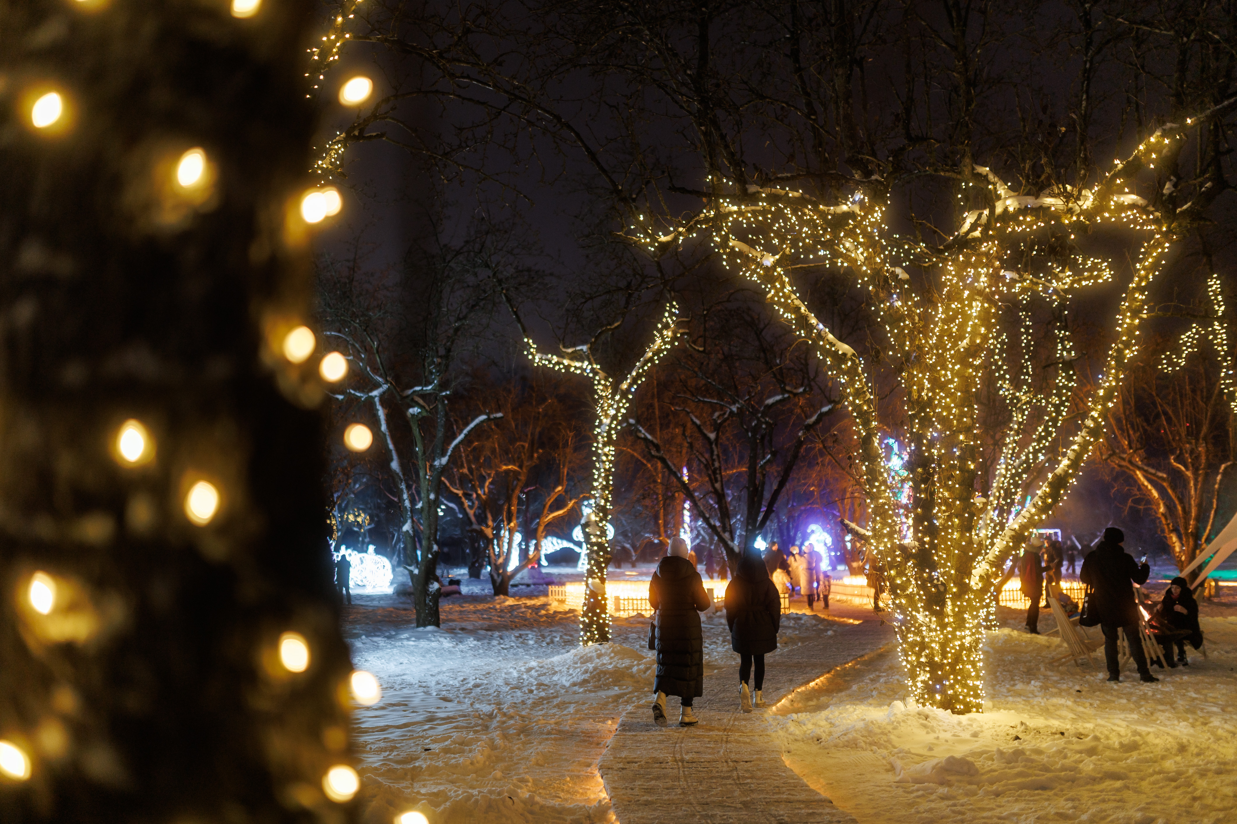 На ВДНХ возвращается световой проект ILLUMINARIUM фото