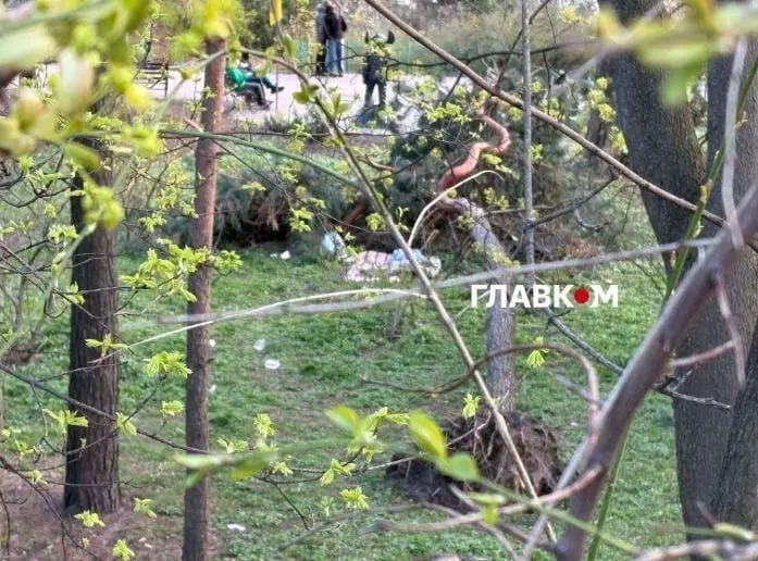 В ботаническом саду Фомина расцвели магнолии, азалии и стало больше мусора фото