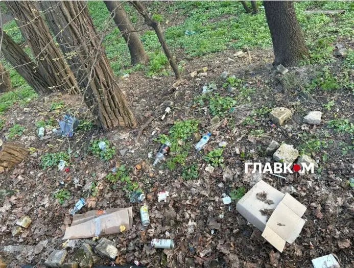 В ботаническом саду Фомина расцвели магнолии, азалии и стало больше мусора фото