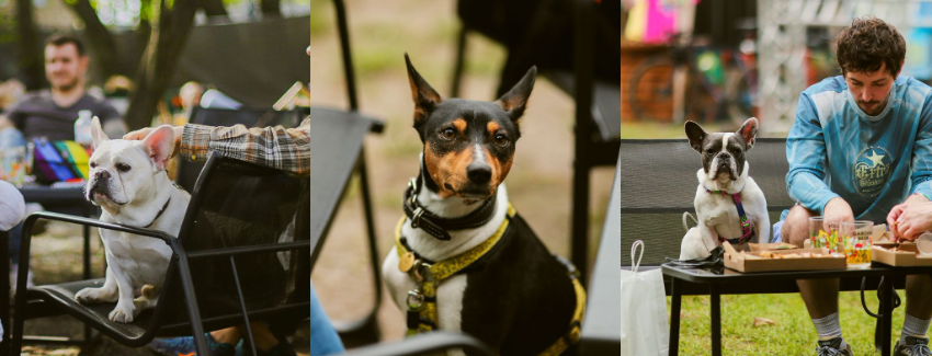 В Киеве пройдет фестиваль крафтового пива фото