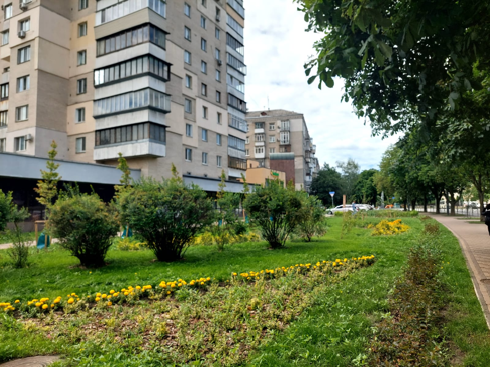В шести районах Киева появились &laquo;карманные скверы&raquo; - фото