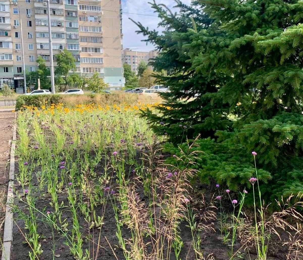 В Киеве в парке Молодежный высадили почти три тысячи растений - фото